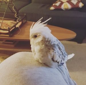 Meet your Posher, Jamie